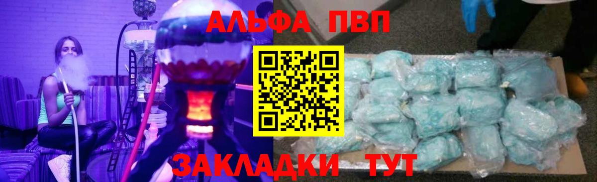 A PVP СК Архангельск